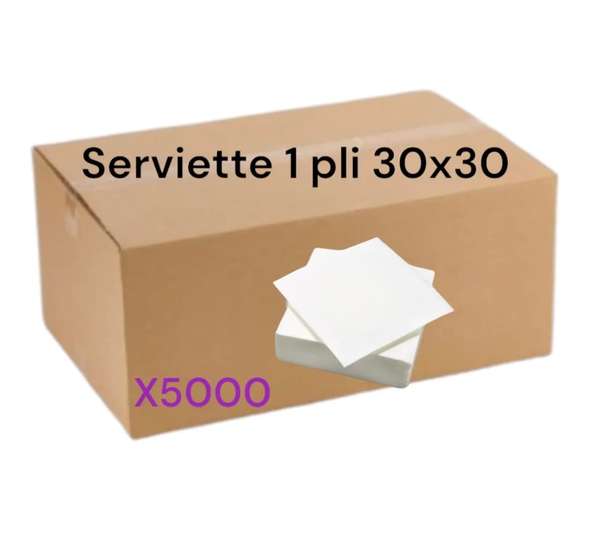Serviette 1 pli 30x30 cm à usage unique Blanc - 5000 pcs